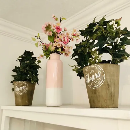 Mammut With New Ac! * Будапешт